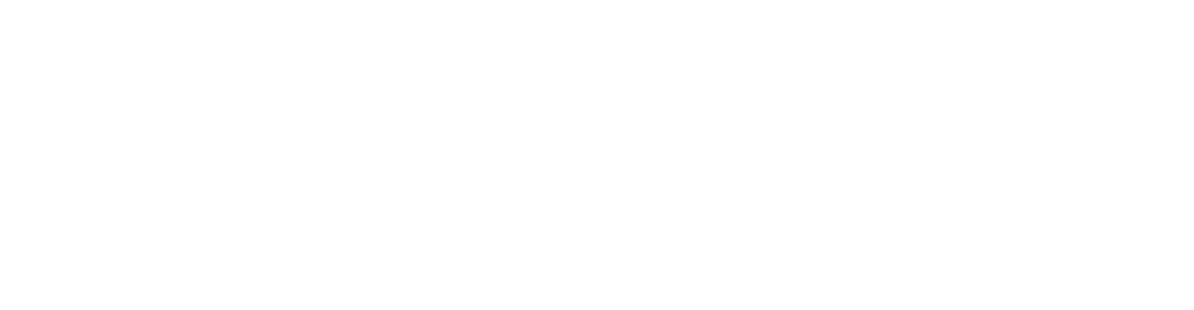 Memox Akademiet - logo